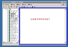 IIS 6 網(wǎng)站無法預覽的排查與解決方案——安全狗論壇技術交流